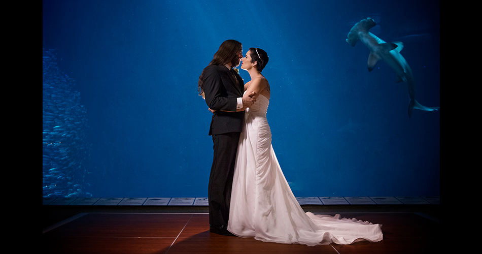 Monterey-Bay-Aquarium-Wedding