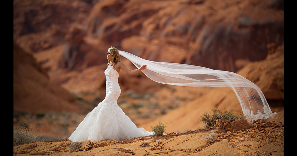 Wedding-Photography-Monterey